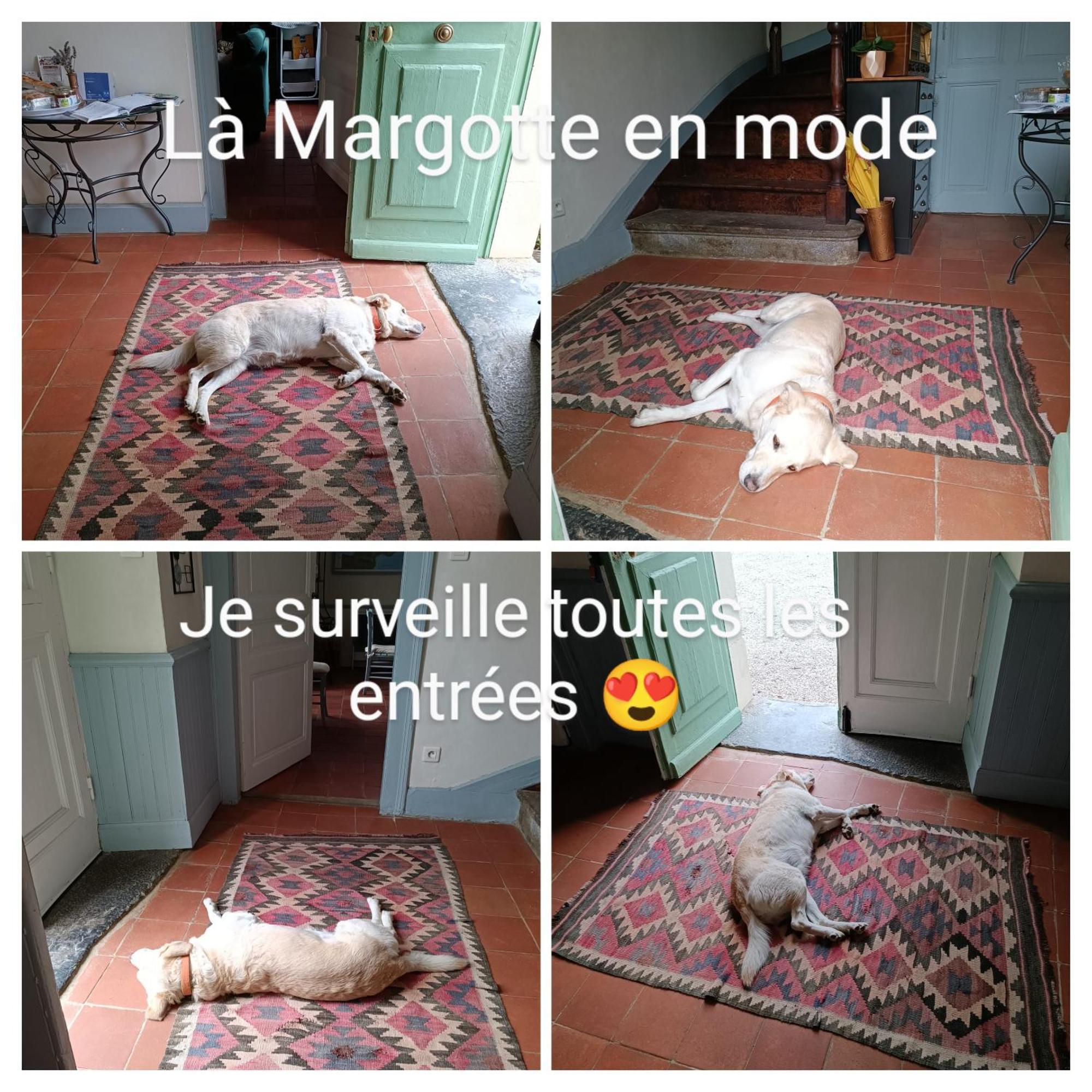 Bed and Breakfast Baladous Montgaillard-de-Salies Exterior foto